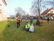 Výsadba u MŠ 2015 - sponzorováno firmou PAJR s.r.o.Vlkava